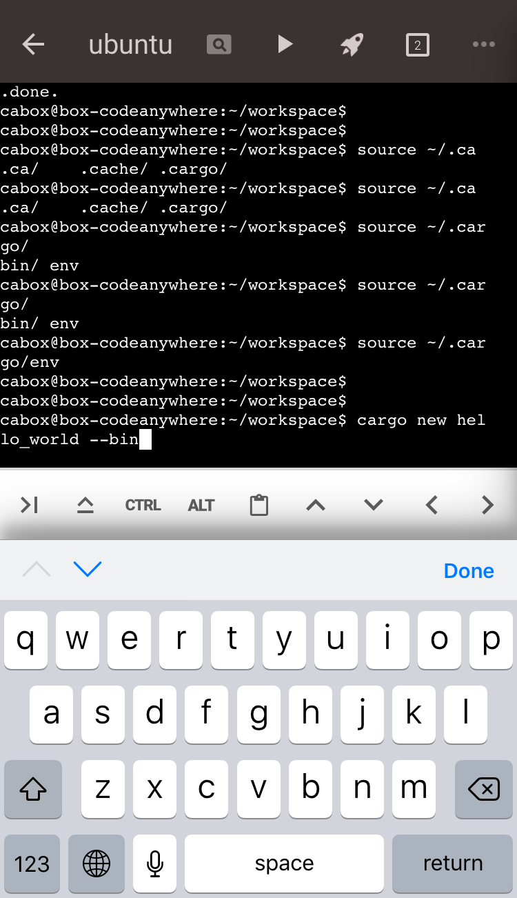 iOSのCodeanywhereターミナルでcargo new hello_world --binを入力した画面