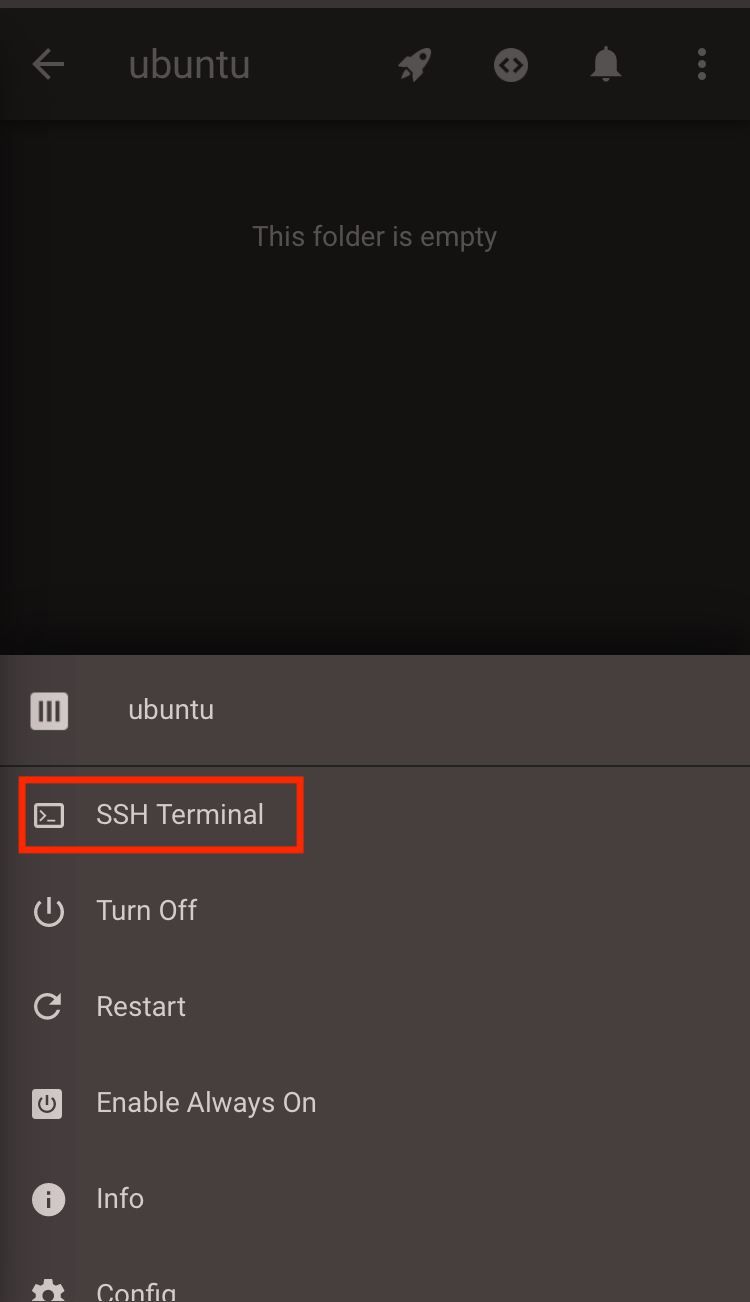 Codeanywhereアプリのubuntuコンテナメニューで「SSH Terminal」を赤枠で選択