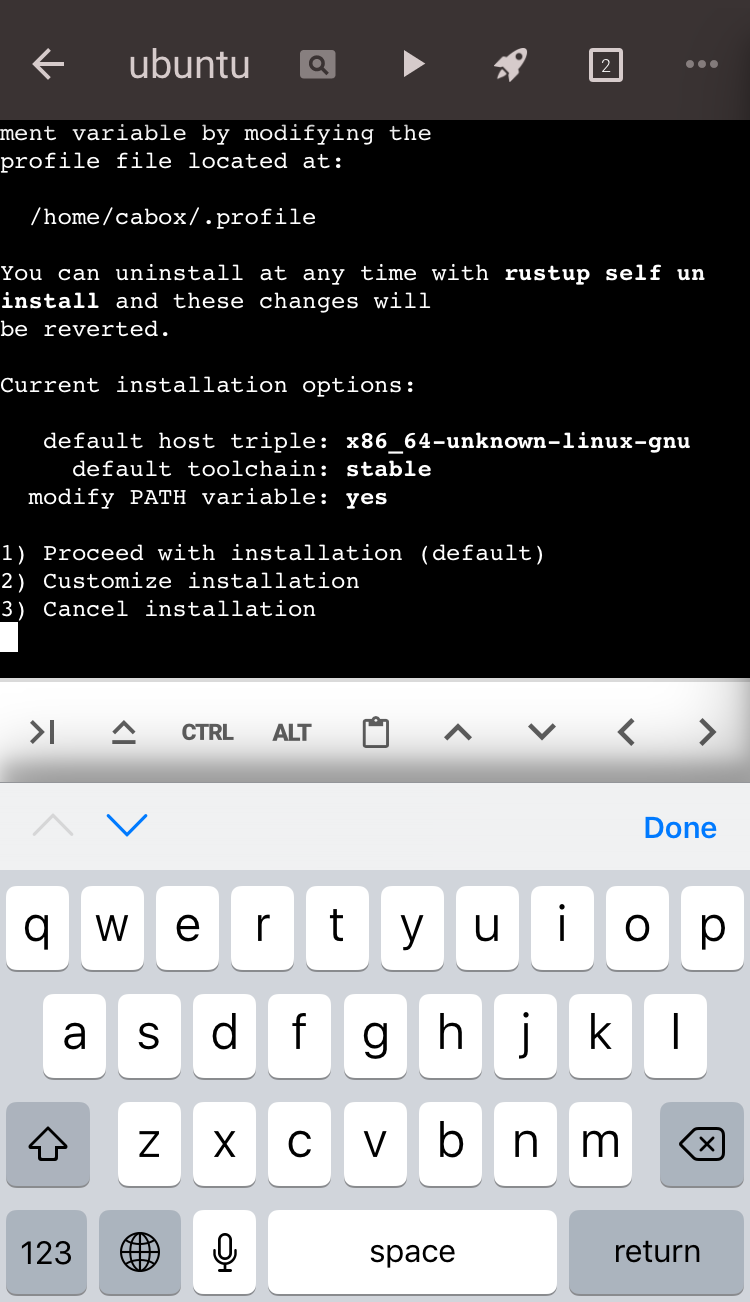 iOS版Codeanywhereの端末画面、rustupインストール選択肢（既定/カスタマイズ/中止）を表示