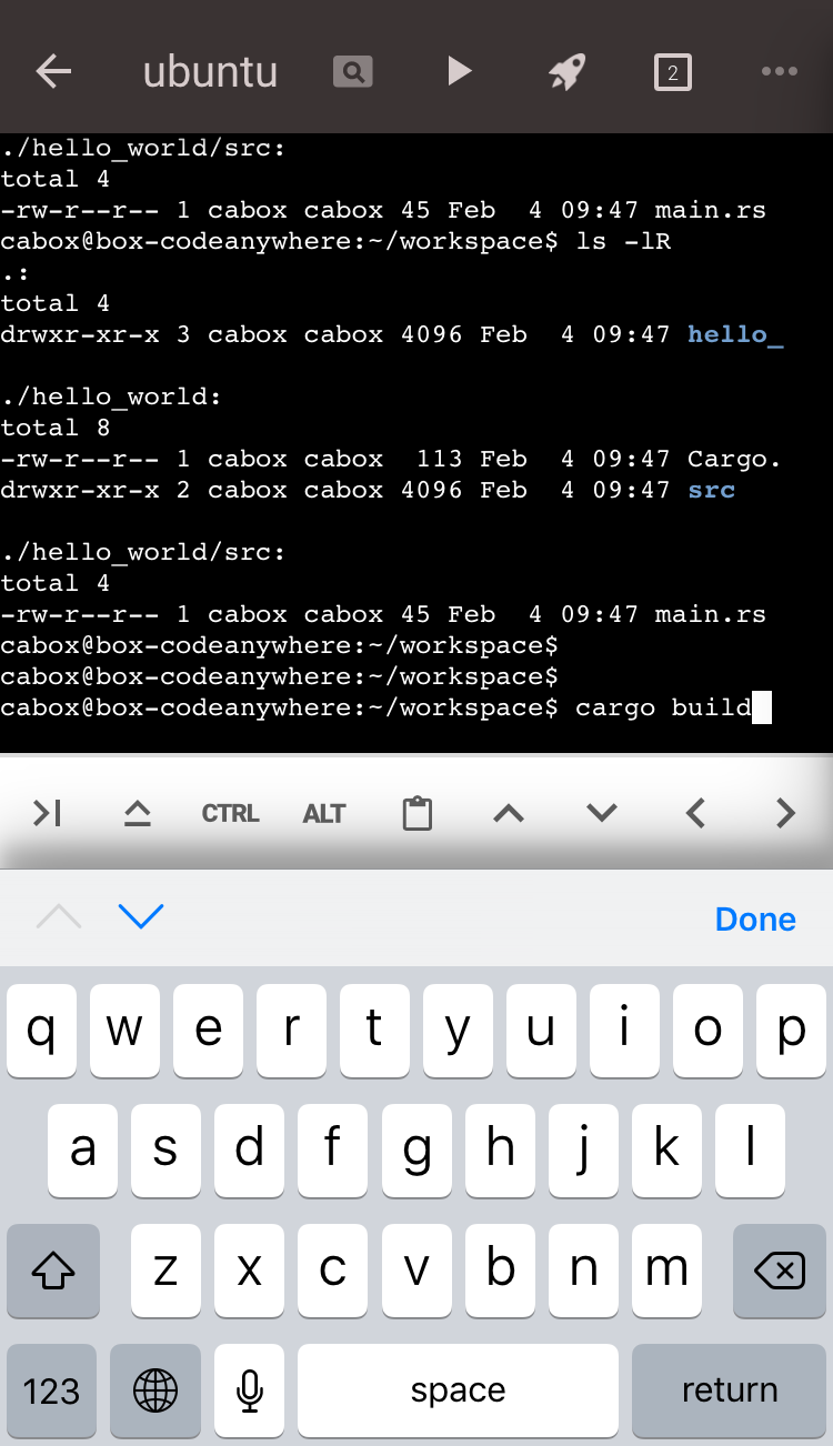 Codeanywhere iOSアプリの端末画面。hello_worldのファイル一覧を表示しcargo buildを入力中