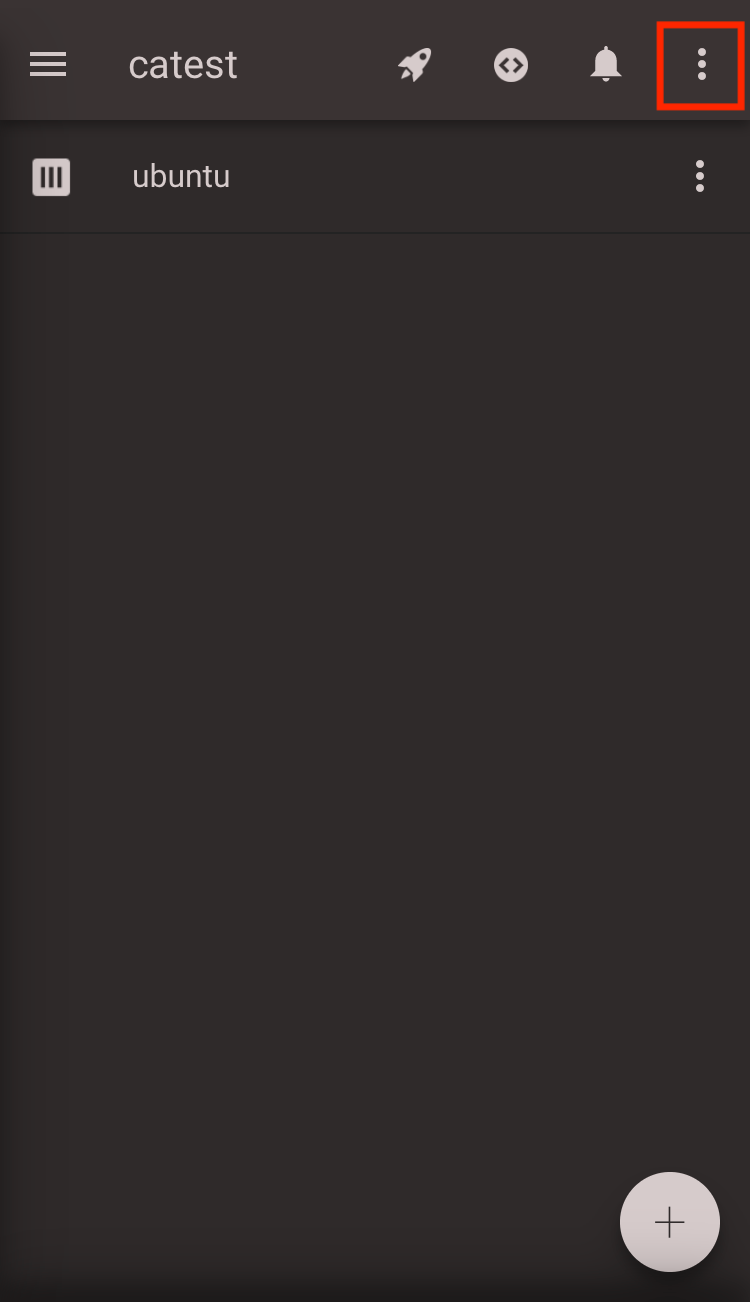 rust on Codeanywhere